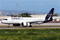 �Manuel Fernandez. Click to see full size photo