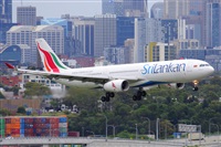 �Miguel A. �gueda Rguez.  (CANARY ISLANDS SPOTTING). Click to see full size photo