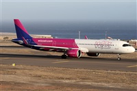 ©Alfonso Solís - Asociación Canary Islands Spotting. Click to see full size photo ©Alfonso Solís - Asociación Canary Islands Spotting. Click to see full size photo