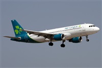 ©Alfonso Solís - Asociación Canary Islands Spotting. Click to see full size photo ©Alfonso Solís - Asociación Canary Islands Spotting. Click to see full size photo