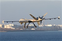 �Adri�n Alonso Lemes - Lanzarote Spotters. Click to see full size photo