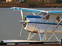 Melvin Pereira - Iberian Spotter. Click to see full size photo