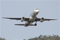ALAMO AIRLINES.CANARY ISLANDS SPOTTING. Click to see full size photo