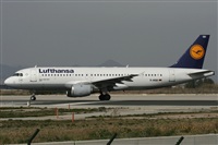 Jos Miguel Bernases - Noisy Spotters. Click to see full size photo
