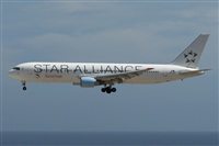 ALAMO AIRLINES.CANARY ISLANDS SPOTTING. Click to see full size photo