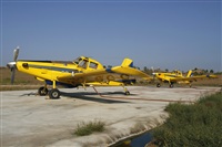 Cele - Spotters BCN. Click to see full size photo