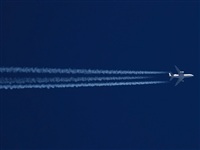EC-LEMD. Click to see full size photo