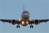 Jos Miguel Bernases - Noisy Spotters. Click to see full size photo