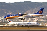 Javier de la Cruz - CANARY ISLANDS SPOTTING. Haz click para ampliar