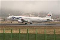Alfonso Sols - Asociacin Canary Islands Spotting. Click to see full size photo