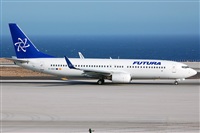 Miguel A. gueda Rguez.  (CANARY ISLANDS SPOTTING). Haz click para ampliar