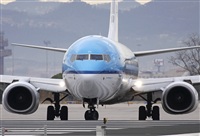 Jos Miguel Bernases - Noisy Spotters. Click to see full size photo