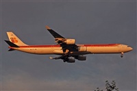 Miguel A. gueda Rguez.  (CANARY ISLANDS SPOTTING). Haz click para ampliar