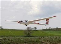Josep Oll. Click to see full size photo