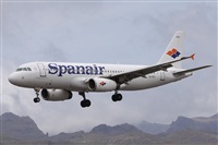 Alfonso Sols - Asociacin Canary Islands Spotting. Click to see full size photo