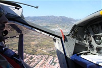 Josep Oll. Click to see full size photo