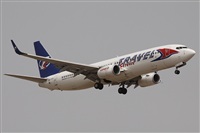Alfonso Sols - Asociacin Canary Islands Spotting. Click to see full size photo