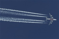 ©A. Muñiz Zaragüeta. Click to see full size photo ©A. Muñiz Zaragüeta. Click to see full size photo
