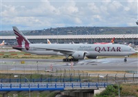 Alejandro Bethencourt (Canary Islands Spotting). Click to see full size photo