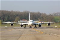 Rodrigo Carvalho - Noisy Spotters. Click to see full size photo