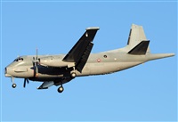Alejandro H.L - Gran Canaria Spotters. Click to see full size photo