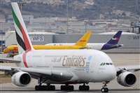 Rubn Gil - Noisy Spotters. Click to see full size photo