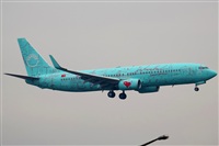 Rodrigo Carvalho - Noisy Spotters. Click to see full size photo