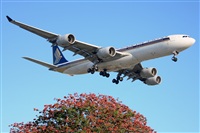 Ana L@dy Spotter. Haz click para ampliar