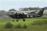 Tom Whelan. Click to see full size photo