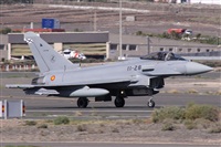 Alfonso Sols - Asociacin Canary Islands Spotting. Haz click para ampliar