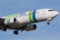 Saimon J Rodriguez   -   Canary Islands Spotting. Click to see full size photo