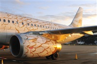 Miguel A. gueda Rguez.  (CANARY ISLANDS SPOTTING). Click to see full size photo
