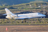 Miguel A. gueda Rguez.  (CANARY ISLANDS SPOTTING). Click to see full size photo