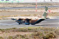 Nacho Rodriguez - Canary Islands Spotting. Haz click para ampliar
