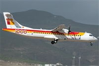 Bartolom Fernndez - Gran Canaria Spotters. Click to see full size photo