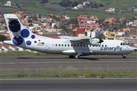 Alfonso Sols - Asociacin Canary Islands Spotting. Click to see full size photo