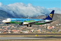 Alejandro Bethencourt (Canary Islands Spotting). Click to see full size photo