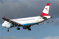 Bartolom Fernndez - Gran Canaria Spotters. Click to see full size photo