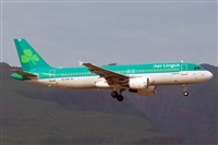 ©J. Victor Vega-Gran Canaria Spotters. Click to see full size photo ©J. Victor Vega-Gran Canaria Spotters. Click to see full size photo