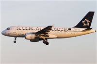 Rubn Gil - Noisy Spotters. Click to see full size photo