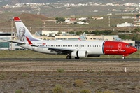 ©Alfonso Solís - Asociación Canary Islands Spotting. Click to see full size photo ©Alfonso Solís - Asociación Canary Islands Spotting. Click to see full size photo