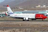 ©Alfonso Solís - Asociación Canary Islands Spotting. Click to see full size photo ©Alfonso Solís - Asociación Canary Islands Spotting. Click to see full size photo