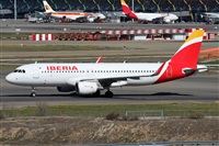 ©Alfonso Solís - Asociación Canary Islands Spotting. Click to see full size photo ©Alfonso Solís - Asociación Canary Islands Spotting. Click to see full size photo