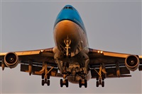Javier de la Cruz - CANARY ISLANDS SPOTTING. Click to see full size photo