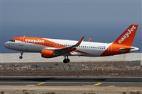 Alfonso Sols - Asociacin Canary Islands Spotting. Click to see full size photo