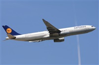 Miguel A. gueda Rguez.  (CANARY ISLANDS SPOTTING). Haz click para ampliar