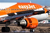 Javier de la Cruz - CANARY ISLANDS SPOTTING. Click to see full size photo