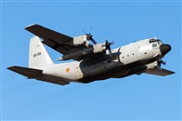 Florencio Martn Melin - Lanzarote Spotters. Haz click para ampliar
