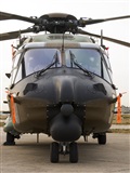 EC-ISM. Click to see full size photo