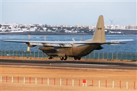 Florencio Martn Melin - Lanzarote Spotters. Click to see full size photo